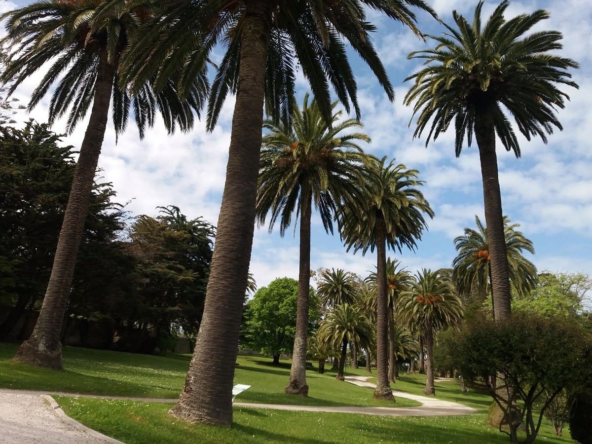 Parque de Mataleñas