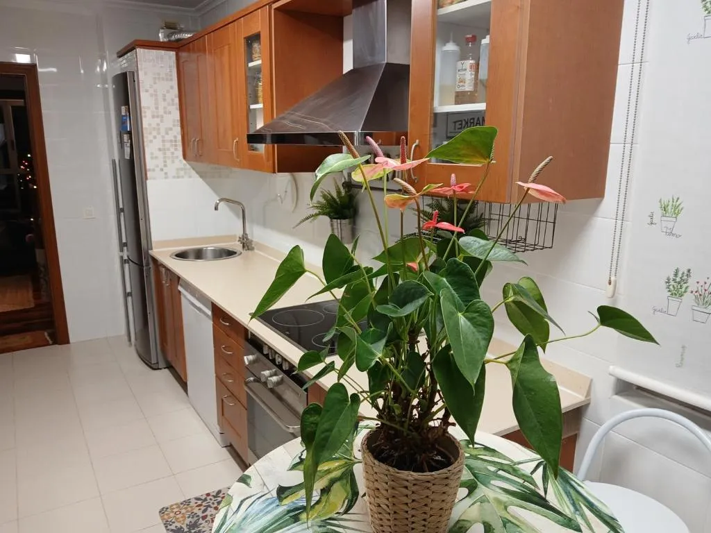Cocina equipada